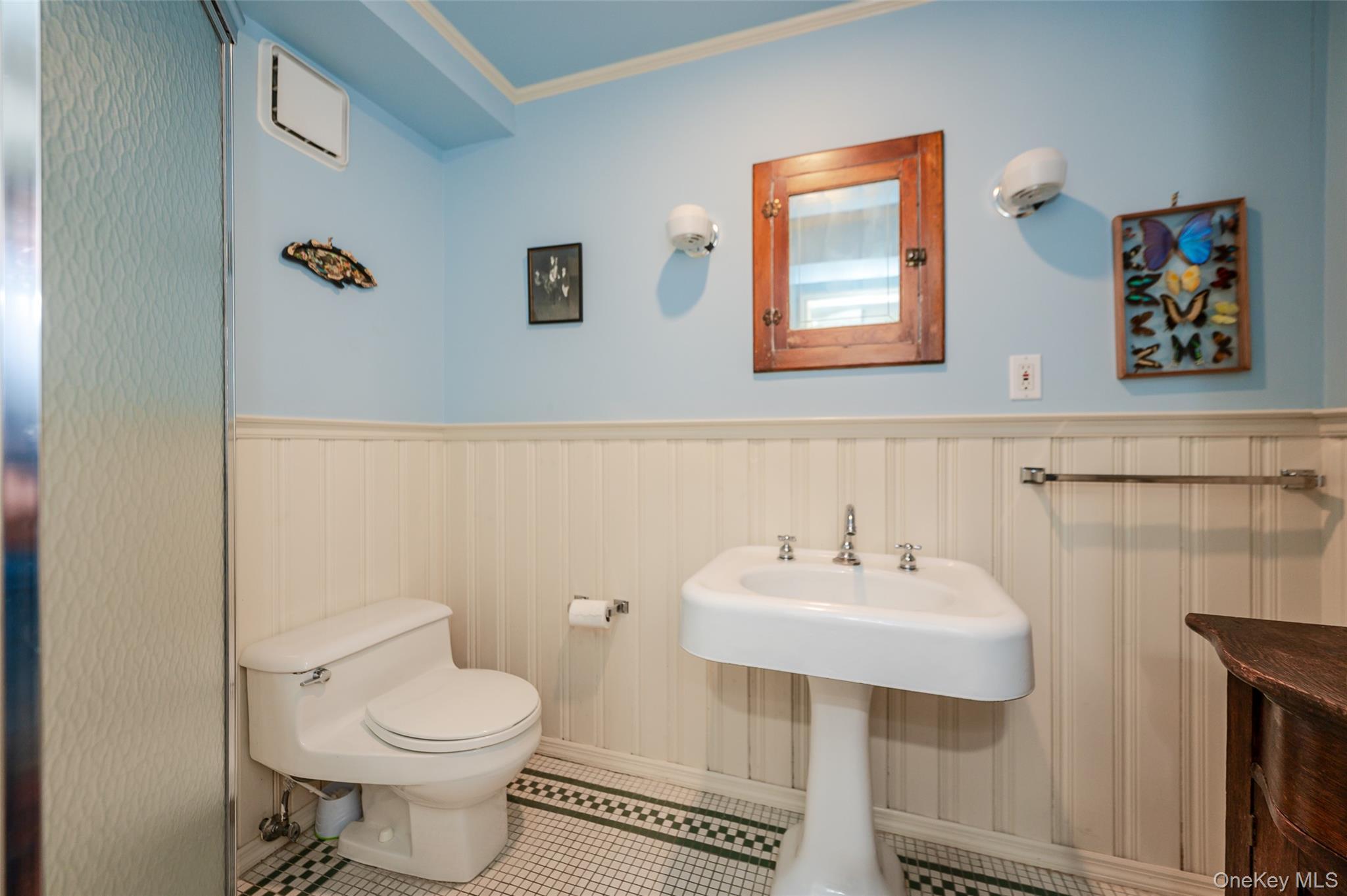 Single Family Clent Road Nassau County, NY 11021, MLS-998698-33