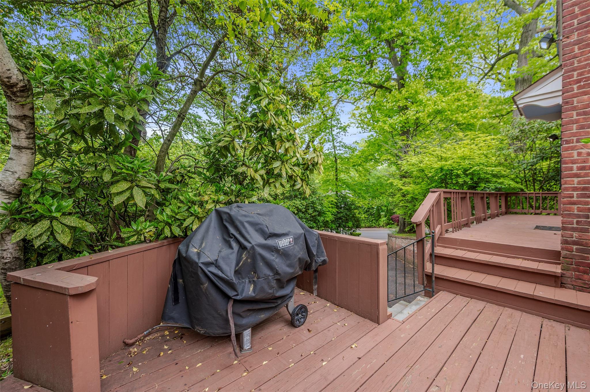 Single Family Clent Road Nassau County, NY 11021, MLS-998698-39
