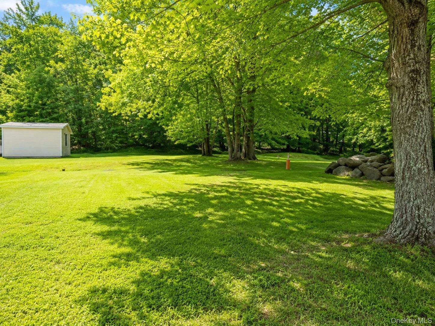 Single Family Mutton Hill Sullivan County, NY 12765, MLS-998911-21