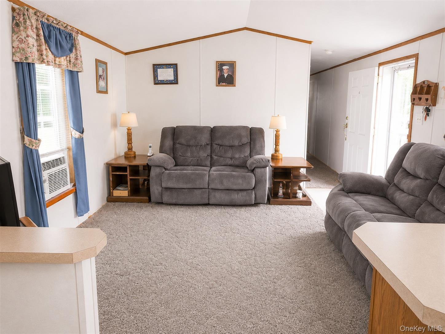 Single Family Mutton Hill Sullivan County, NY 12765, MLS-998911-23