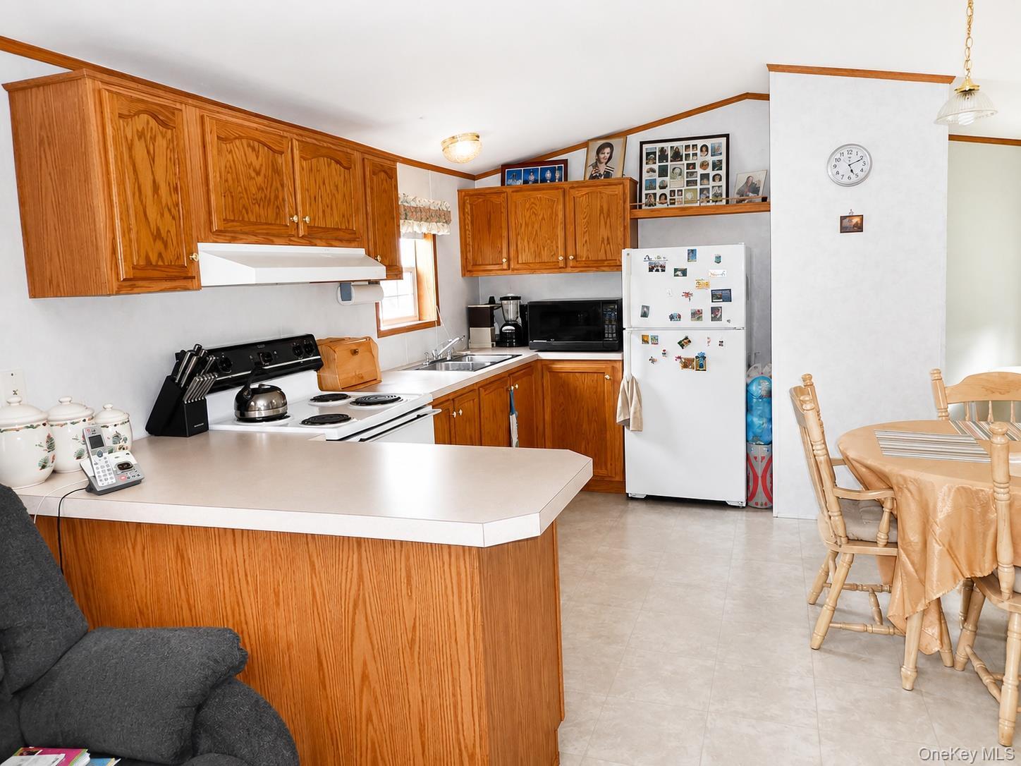Single Family Mutton Hill Sullivan County, NY 12765, MLS-998911-24