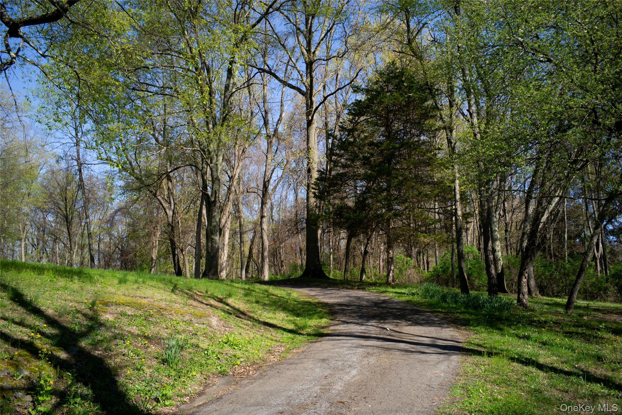 Single Family Spencer Drive Dutchess County, NY 12571, MLS-999126-13
