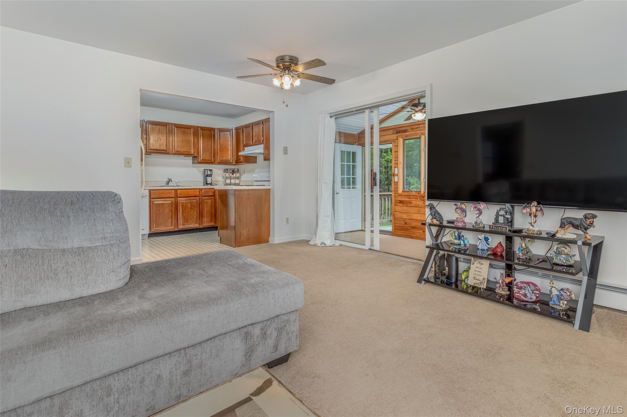 Single Family Cottontail Lane  Ulster County, NY 12498, MLS-999135-26