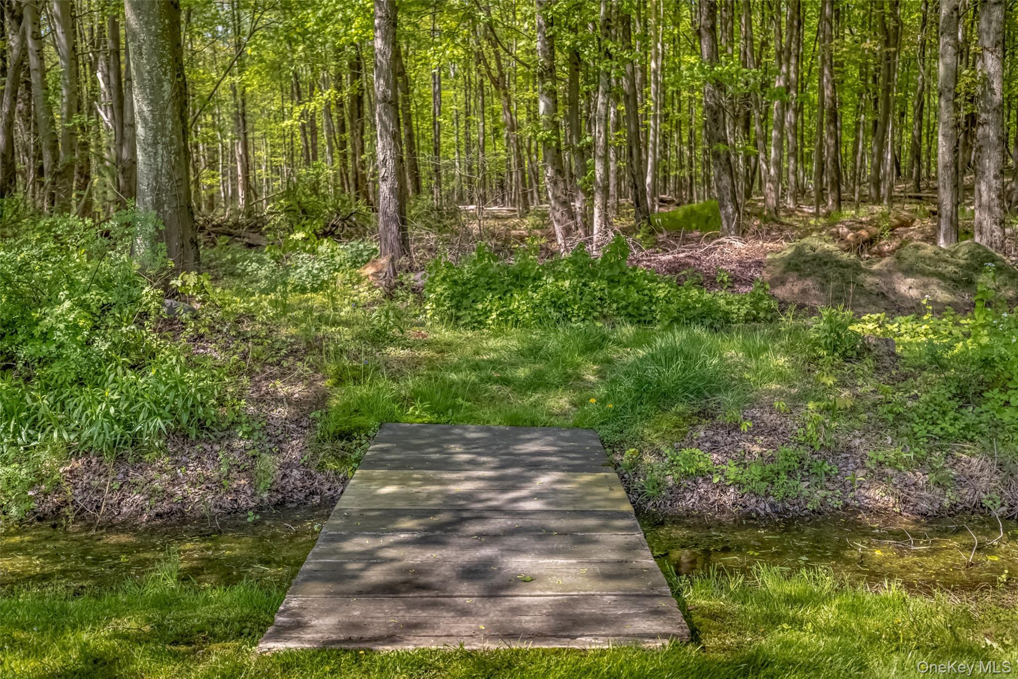 Single Family Cottontail Lane  Ulster County, NY 12498, MLS-999135-4