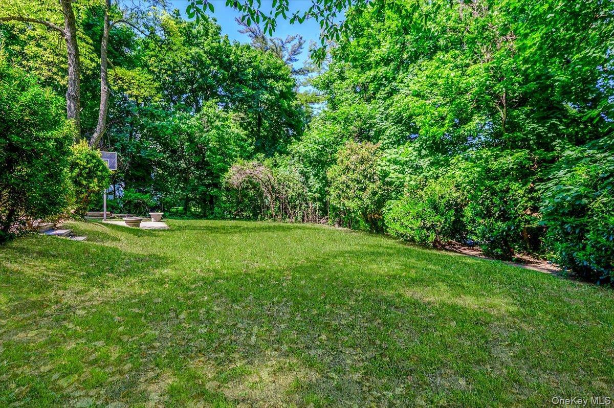 Single Family Ridge Drive E  Nassau County, NY 11021, MLS-999153-33