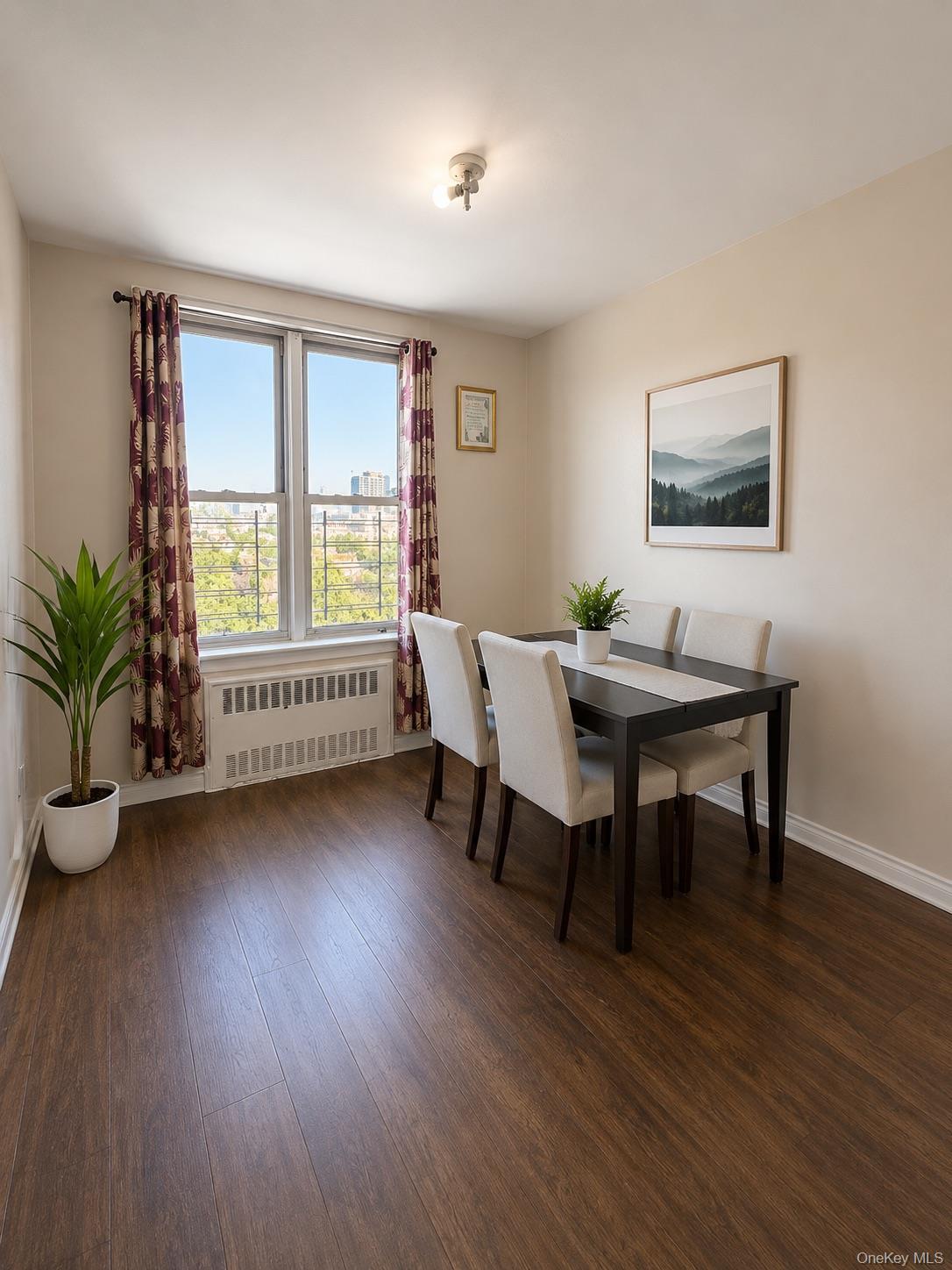 Coop 60th Queens, NY 11373, MLS-999165-5