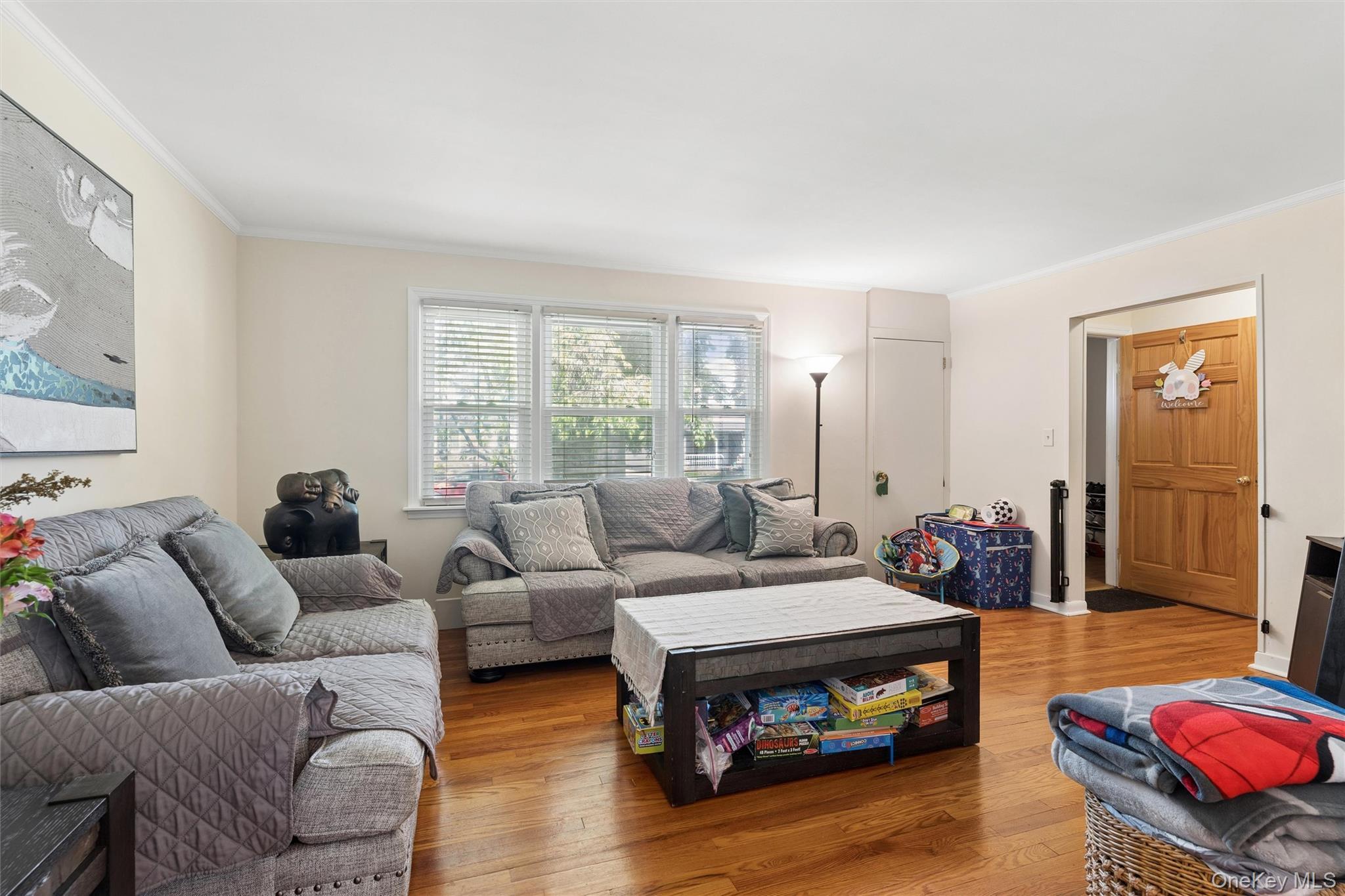 Single Family Beech Street Nassau County, NY 11001, MLS-999358-4