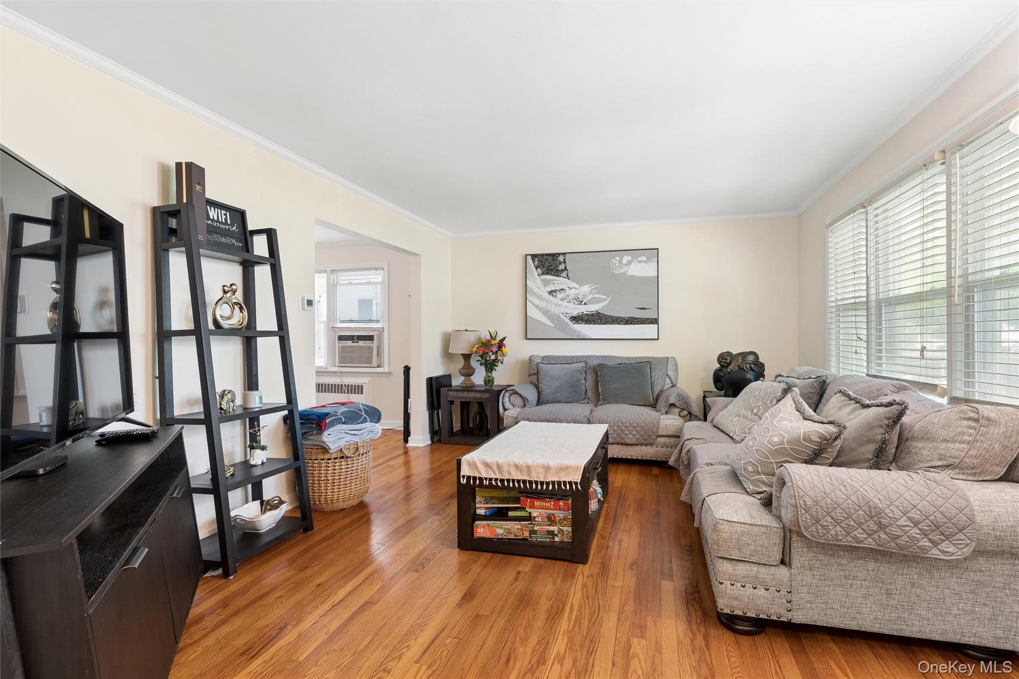 Single Family Beech Street Nassau County, NY 11001, MLS-999358-5