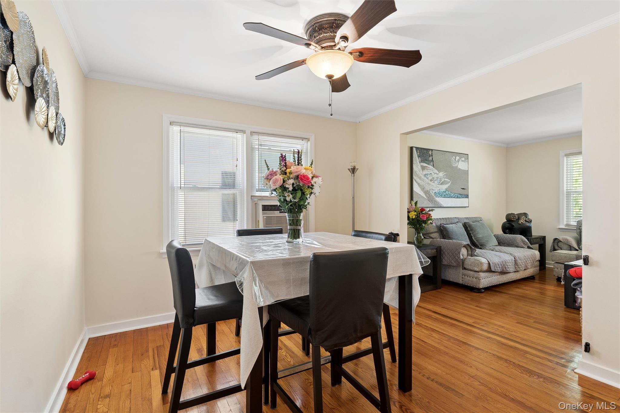 Single Family Beech Street Nassau County, NY 11001, MLS-999358-6