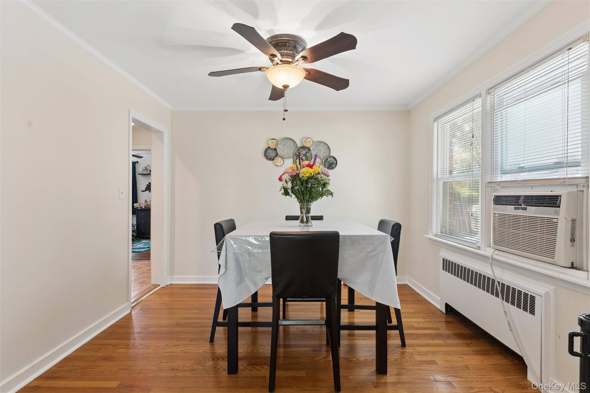 Single Family Beech Street Nassau County, NY 11001, MLS-999358-7