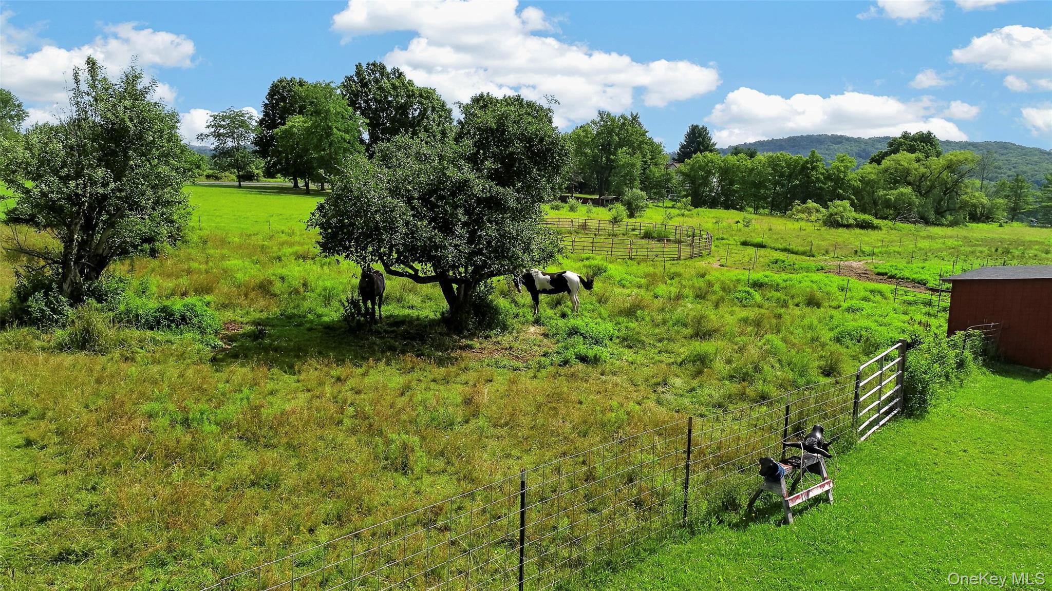 Single Family County Route 164 Sullivan County, NY 12723, MLS-999372-12