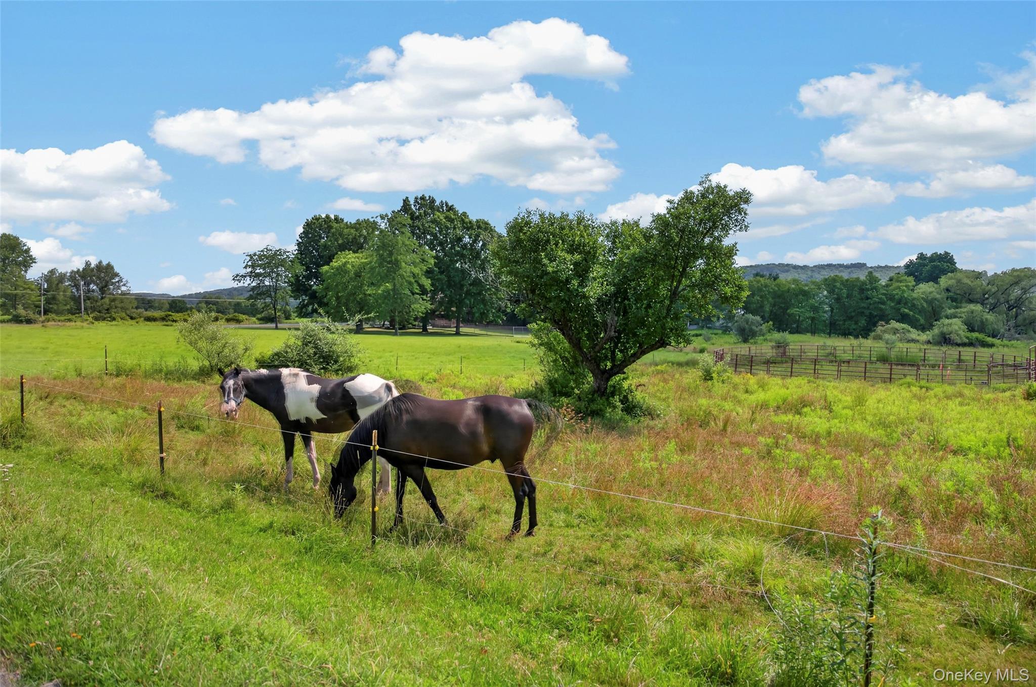 Single Family County Route 164 Sullivan County, NY 12723, MLS-999372-17