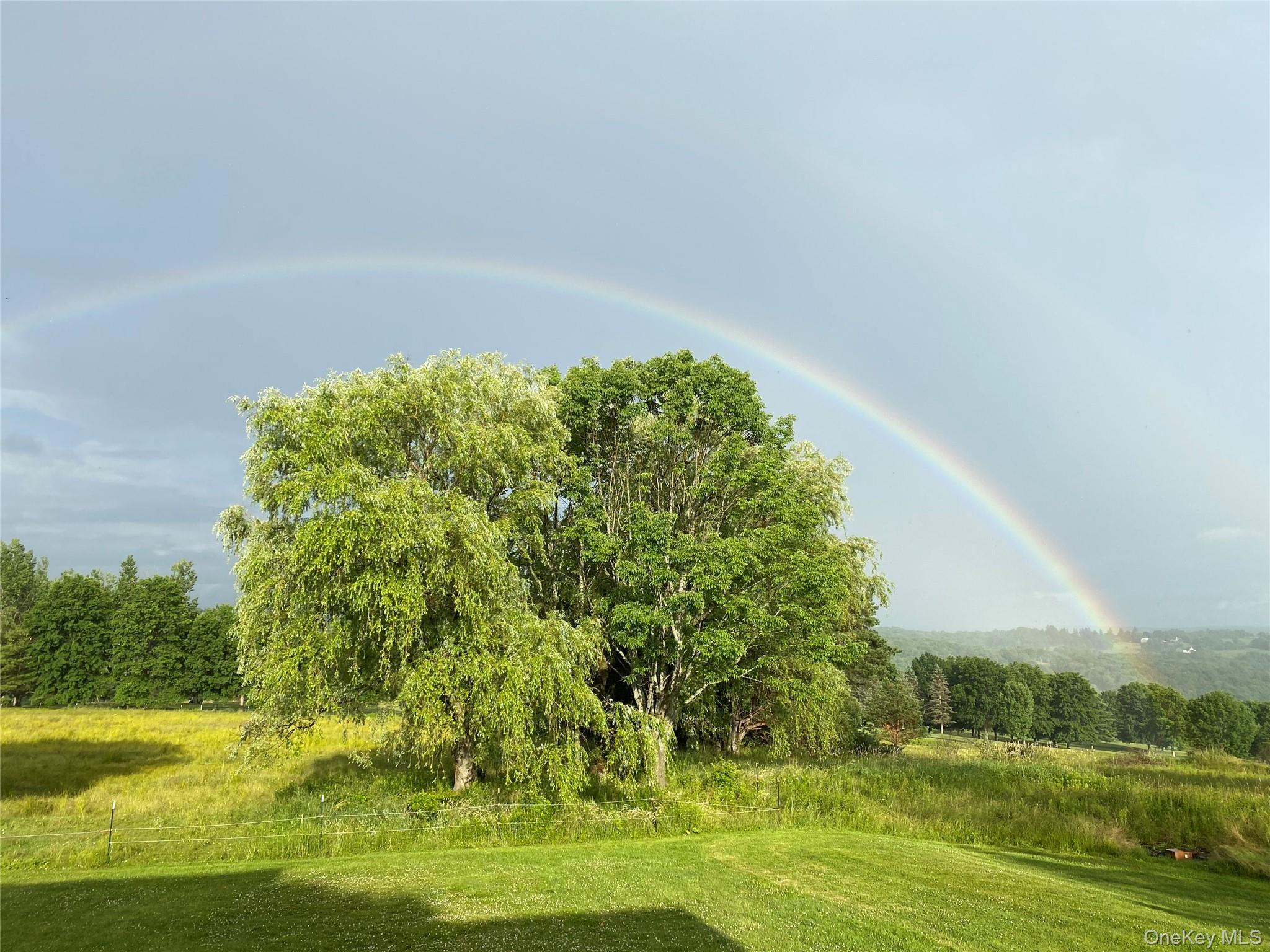 Single Family County Route 164 Sullivan County, NY 12723, MLS-999372-6