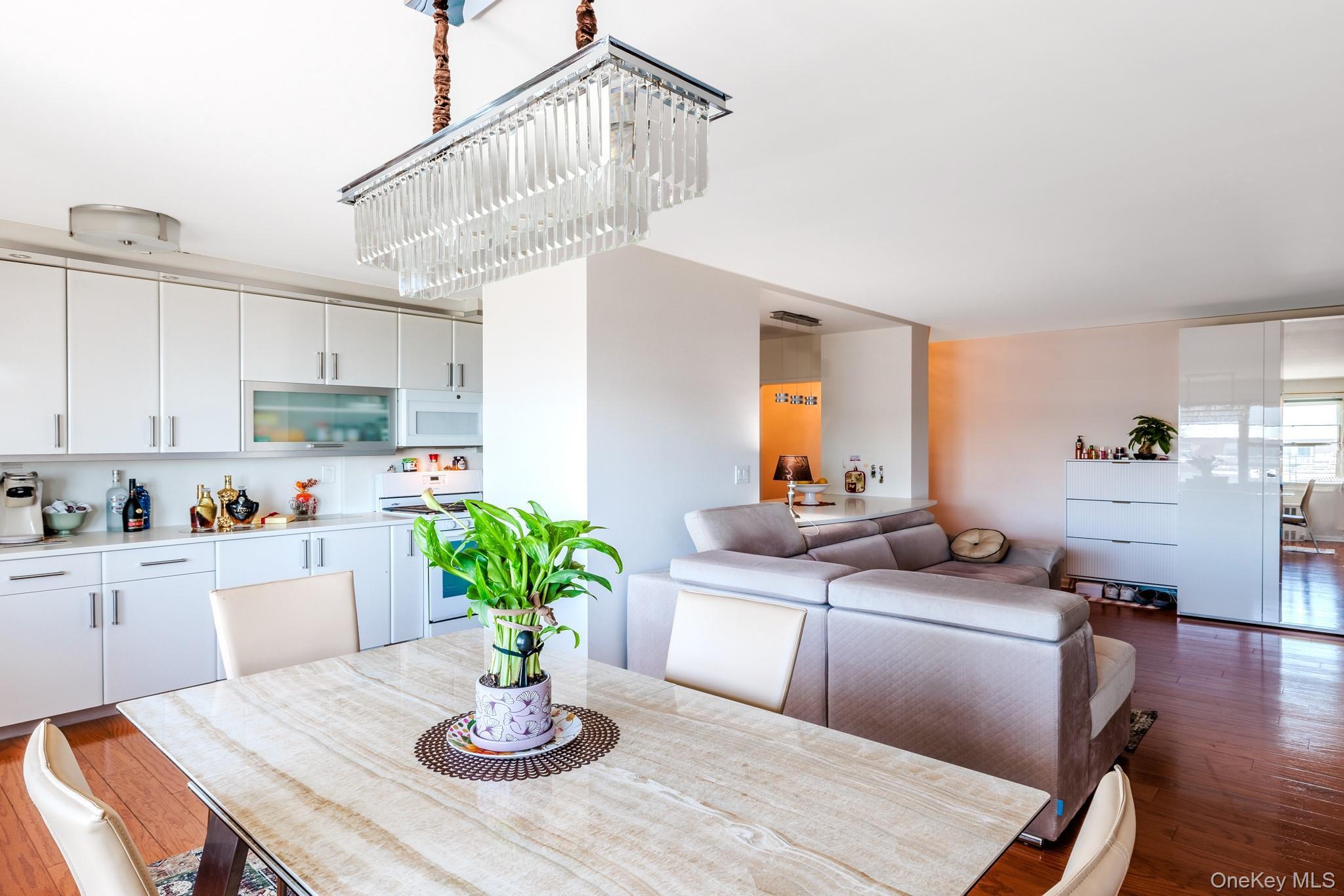 Coop W 5th Street  Brooklyn, NY 11224, MLS-999375-9