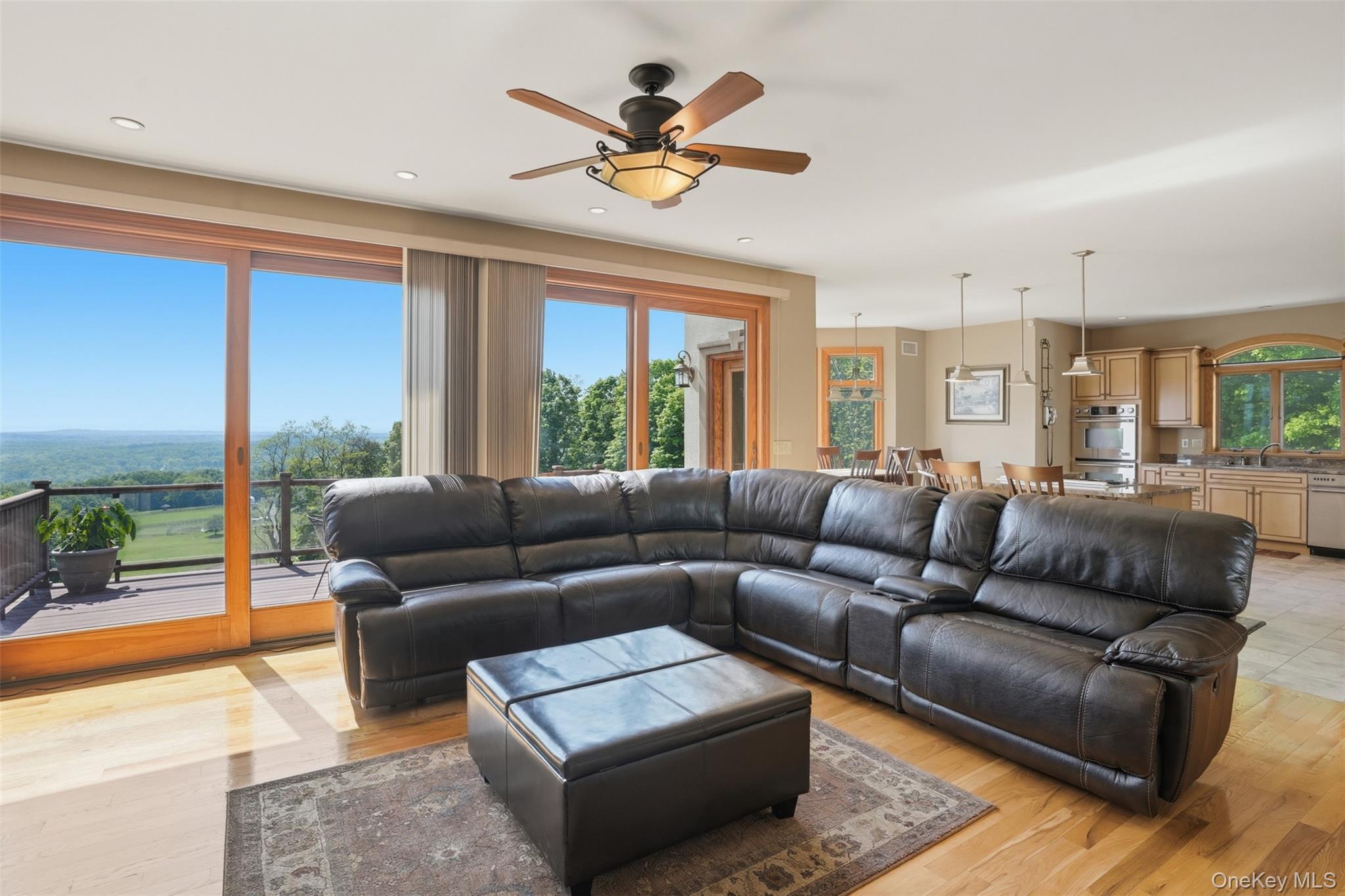 Single Family Rachel Court  Sullivan County, NY 12721, MLS-999407-19