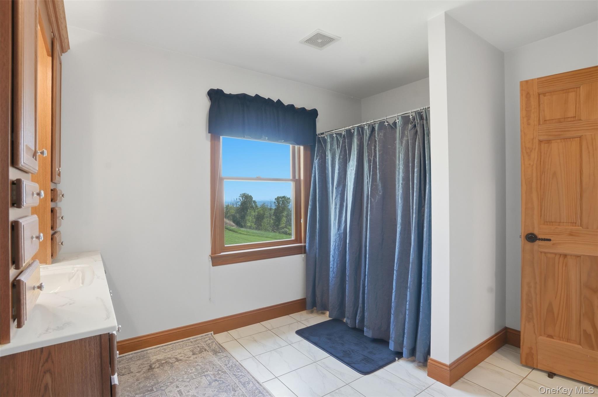 Single Family Rachel Court  Sullivan County, NY 12721, MLS-999407-32