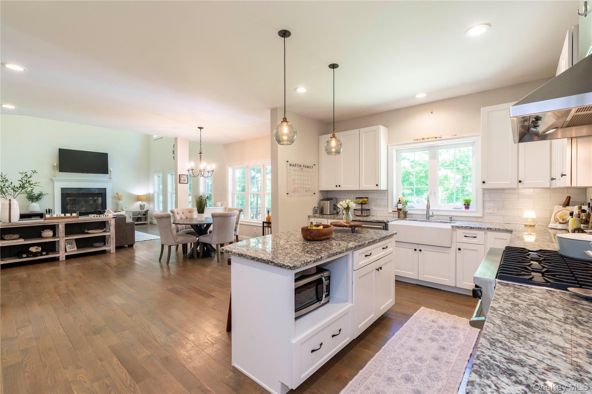 Single Family Biltmore Drive Dutchess County, NY 12533, MLS-999409-11