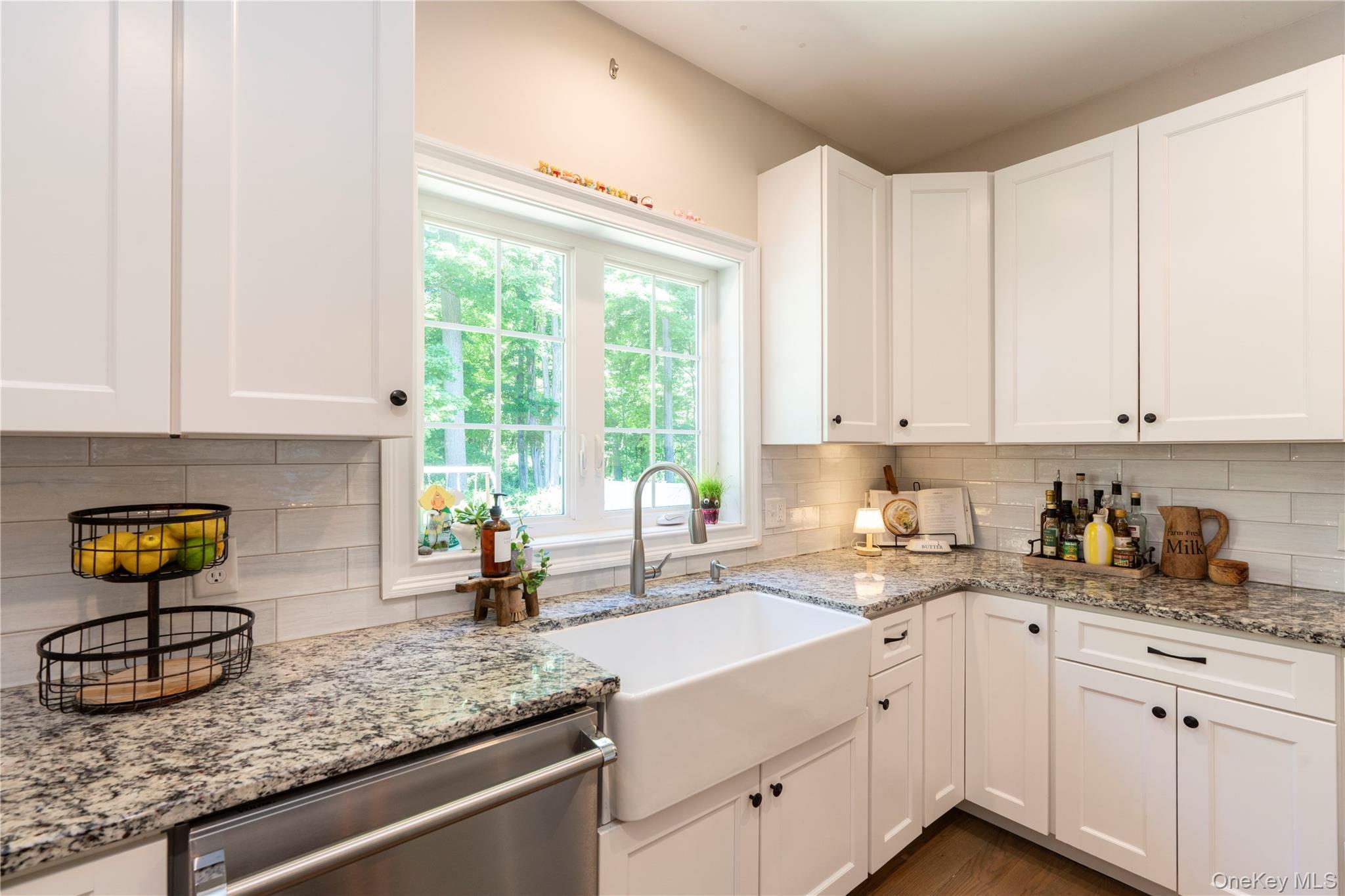 Single Family Biltmore Drive Dutchess County, NY 12533, MLS-999409-14