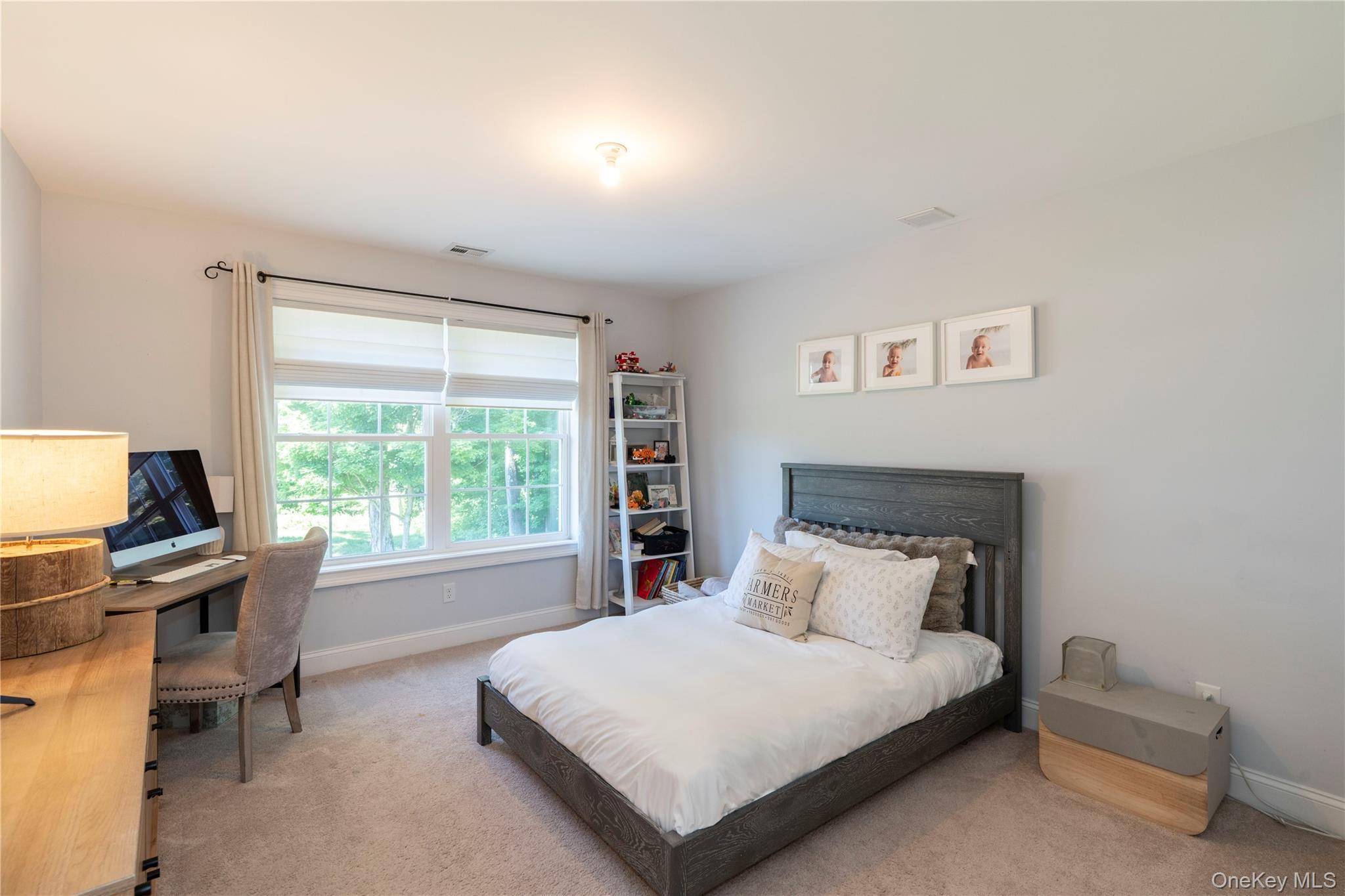 Single Family Biltmore Drive Dutchess County, NY 12533, MLS-999409-33