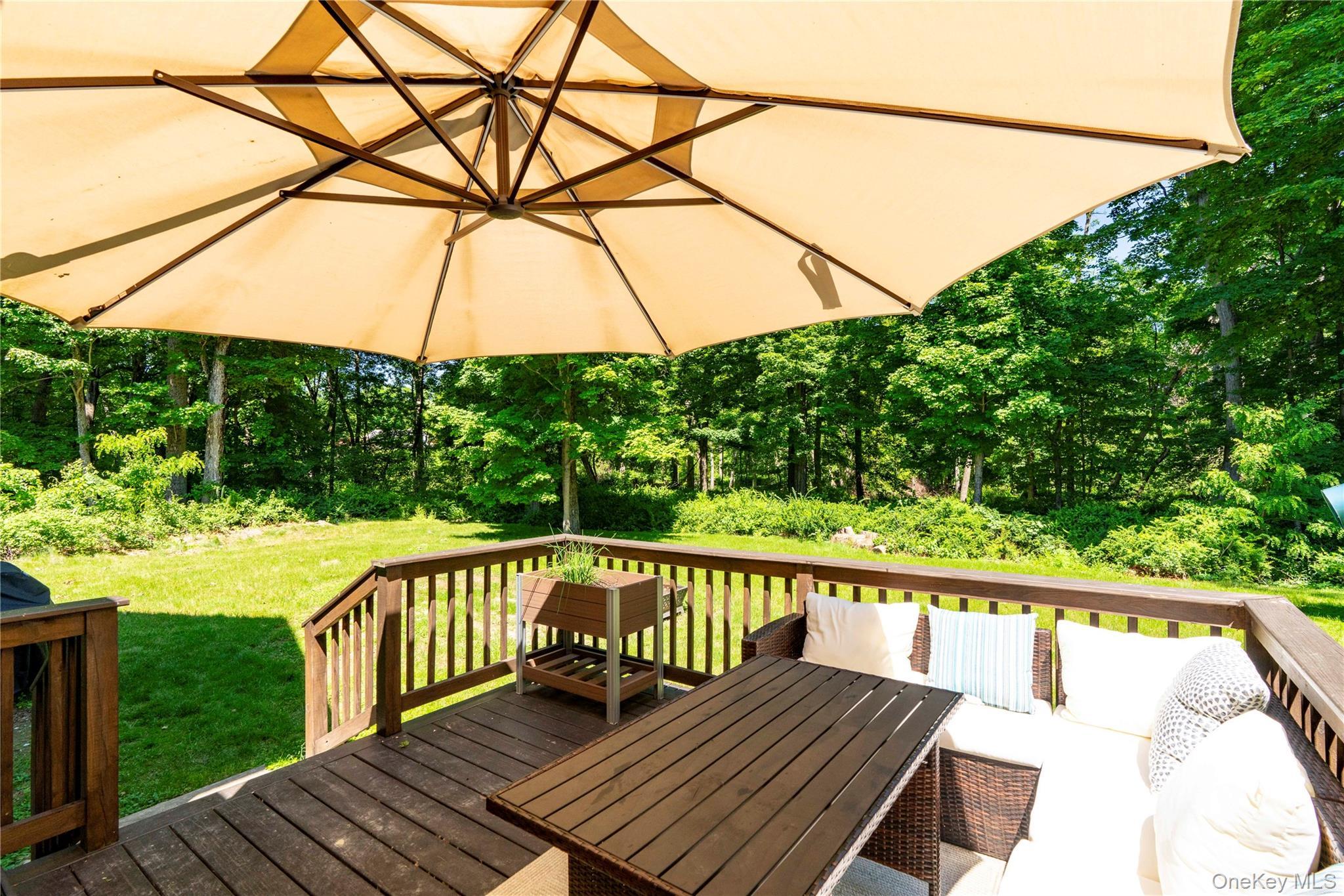 Single Family Biltmore Drive Dutchess County, NY 12533, MLS-999409-40