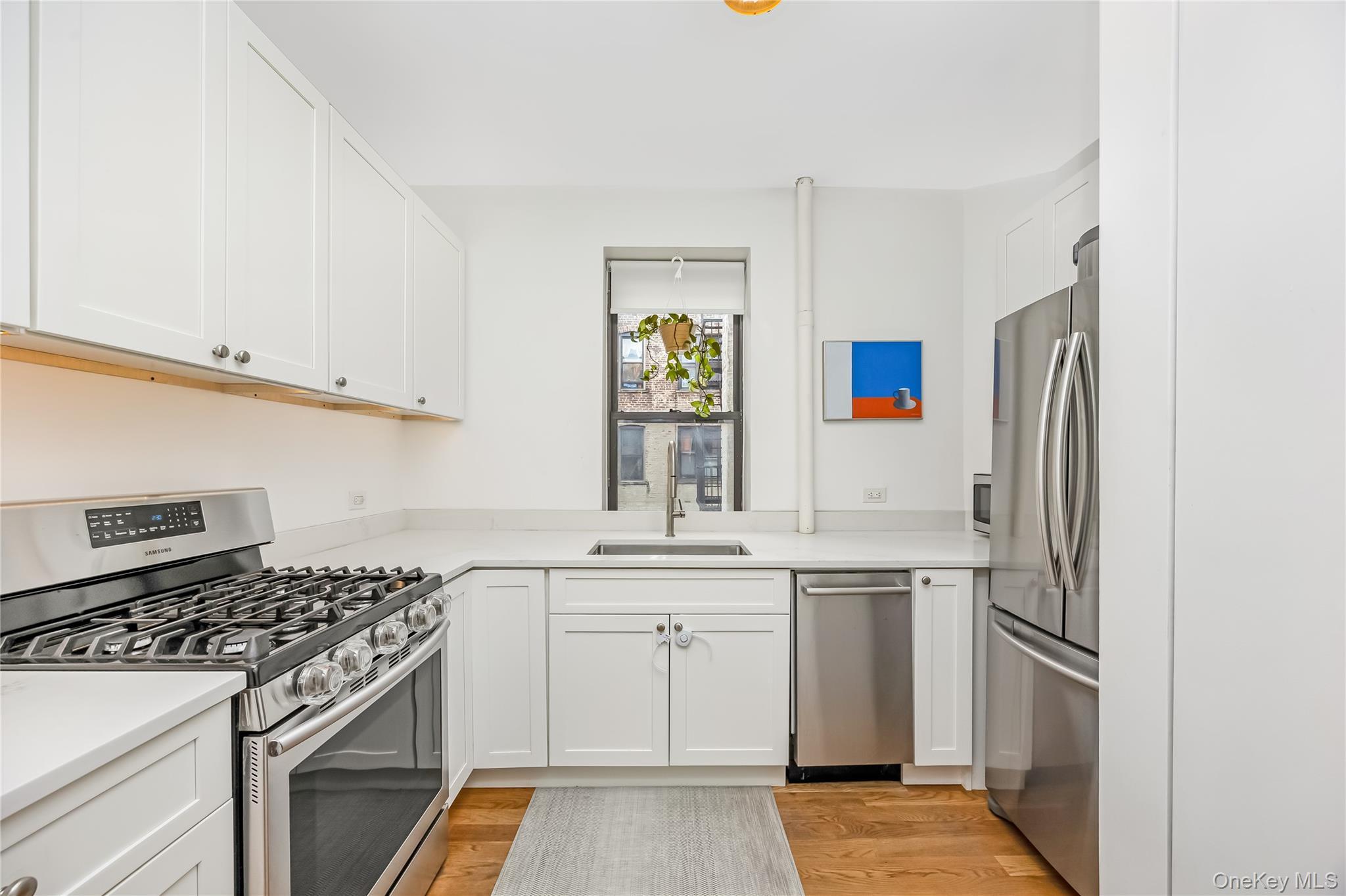 Coop Crown  Brooklyn, NY 11225, MLS-999499-4