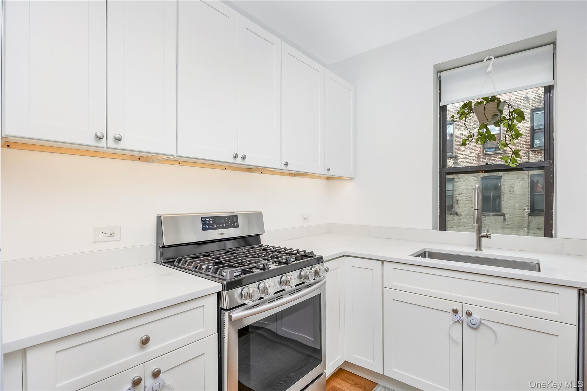 Coop Crown  Brooklyn, NY 11225, MLS-999499-5