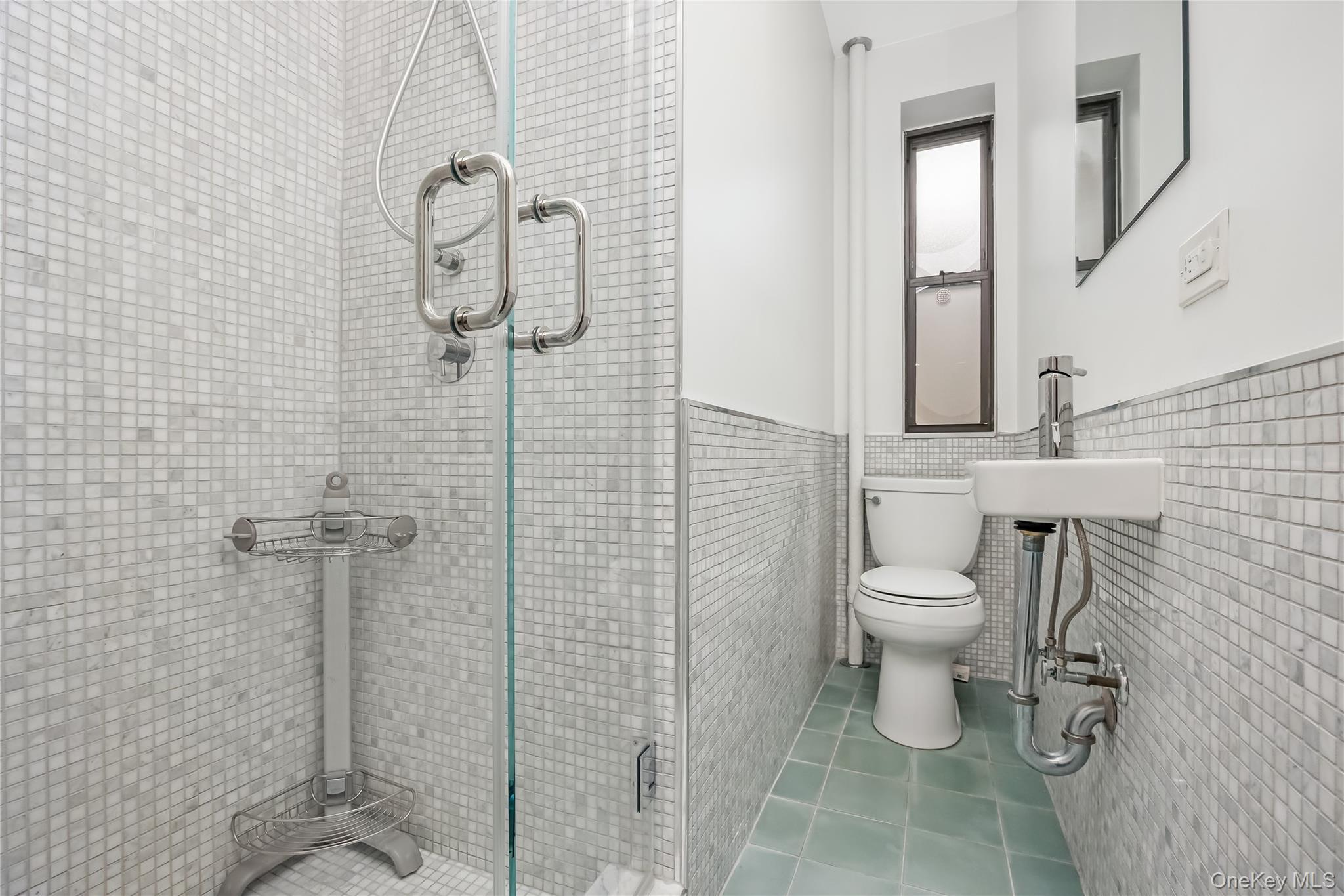 Coop Crown  Brooklyn, NY 11225, MLS-999499-9