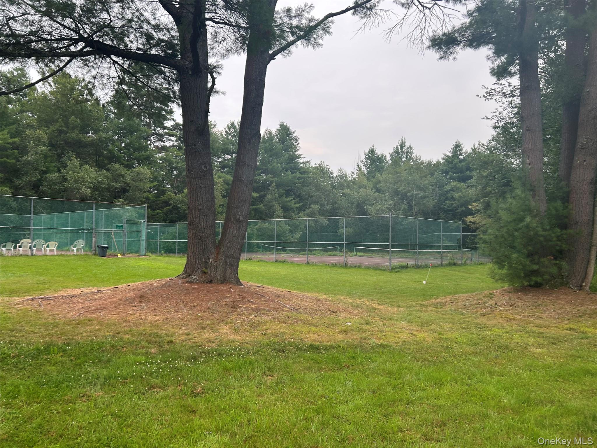 Coop Greentree Road Sullivan County, NY 12701, MLS-999536-10
