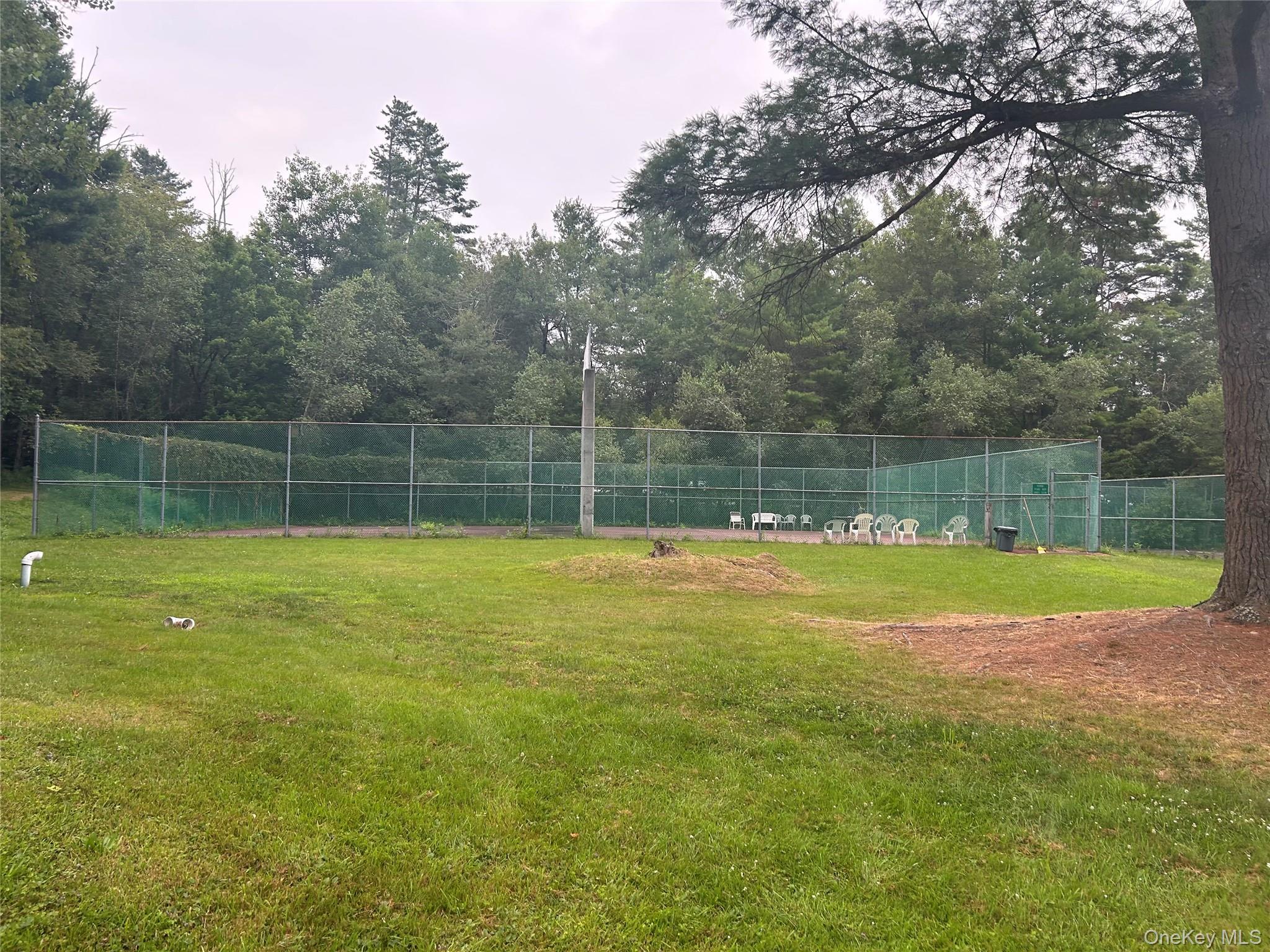 Coop Greentree Road  Sullivan County, NY 12701, MLS-999536-11