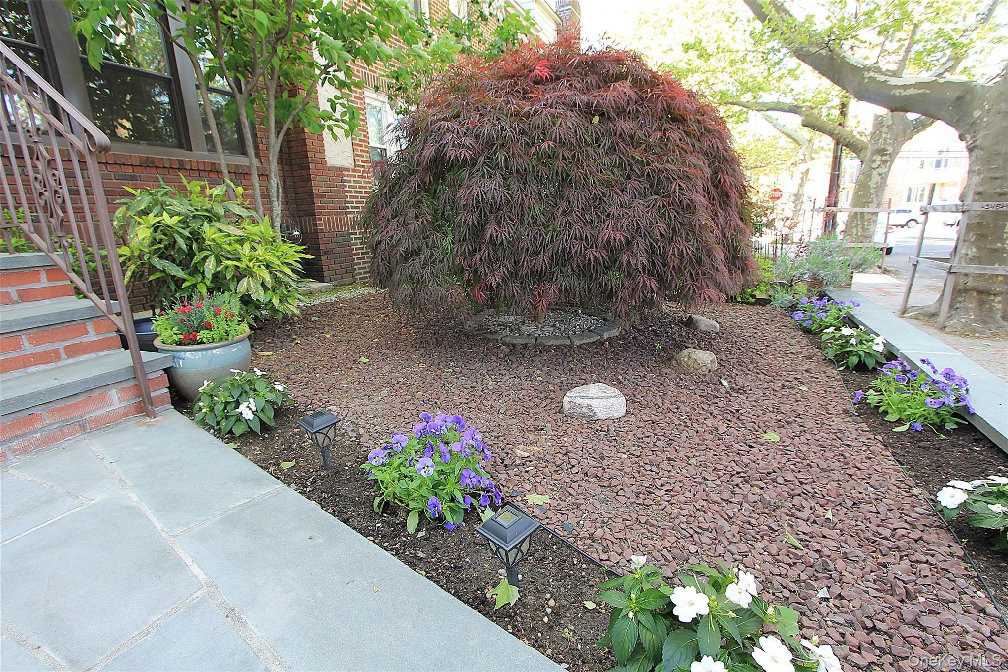 Single Family 78th Queens, NY 11379, MLS-999561-3
