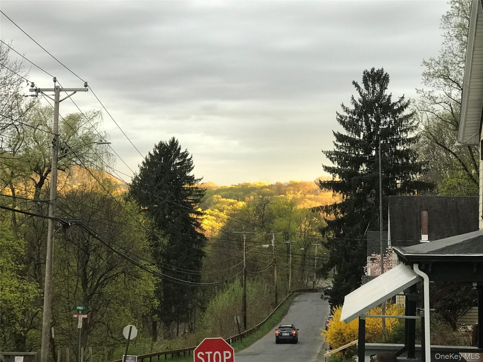 Single Family Hudson Street Ulster County, NY 12401, MLS-999759-31