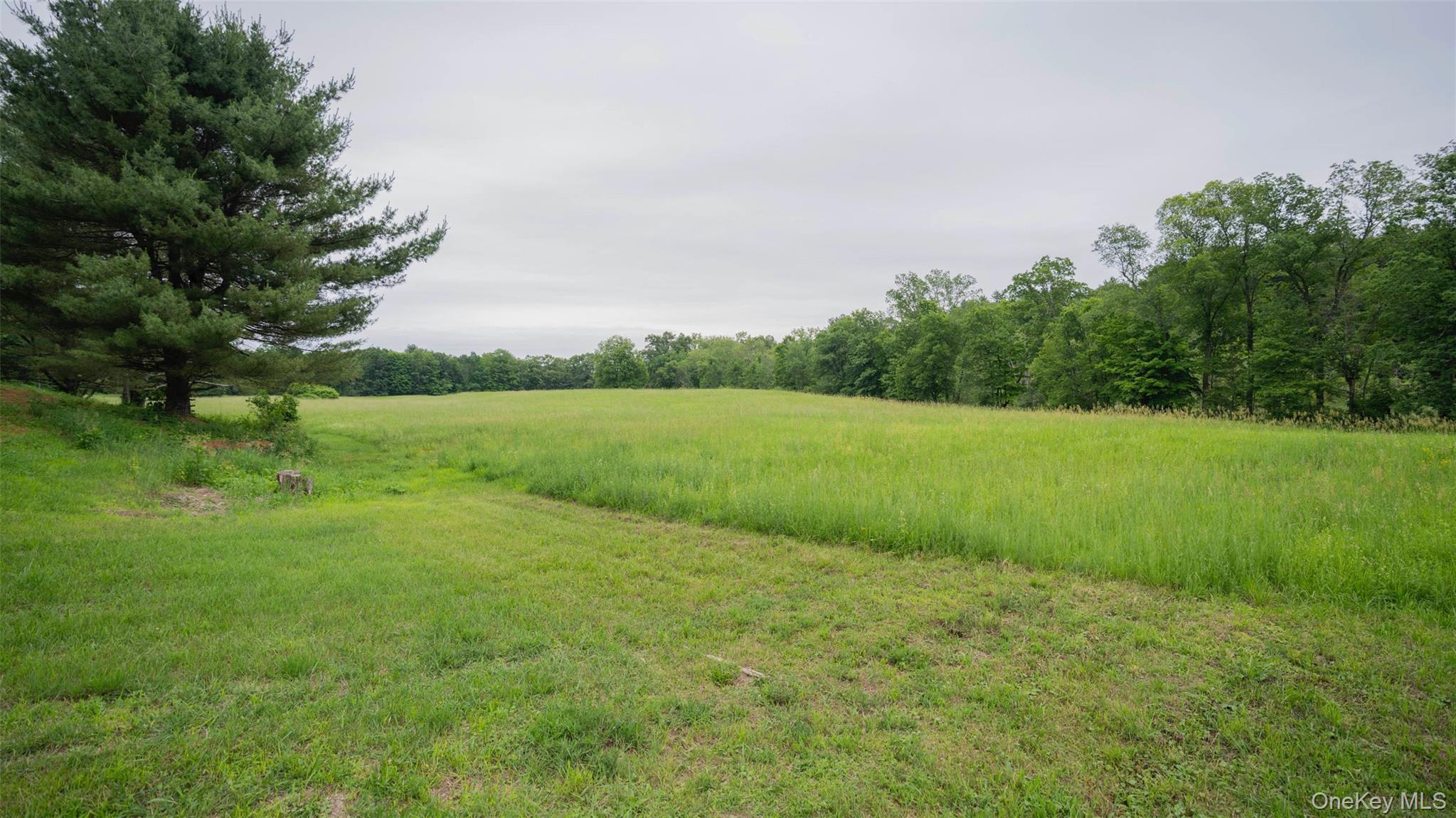 Single Family Lake Drive  Dutchess County, NY 12572, MLS-999816-27