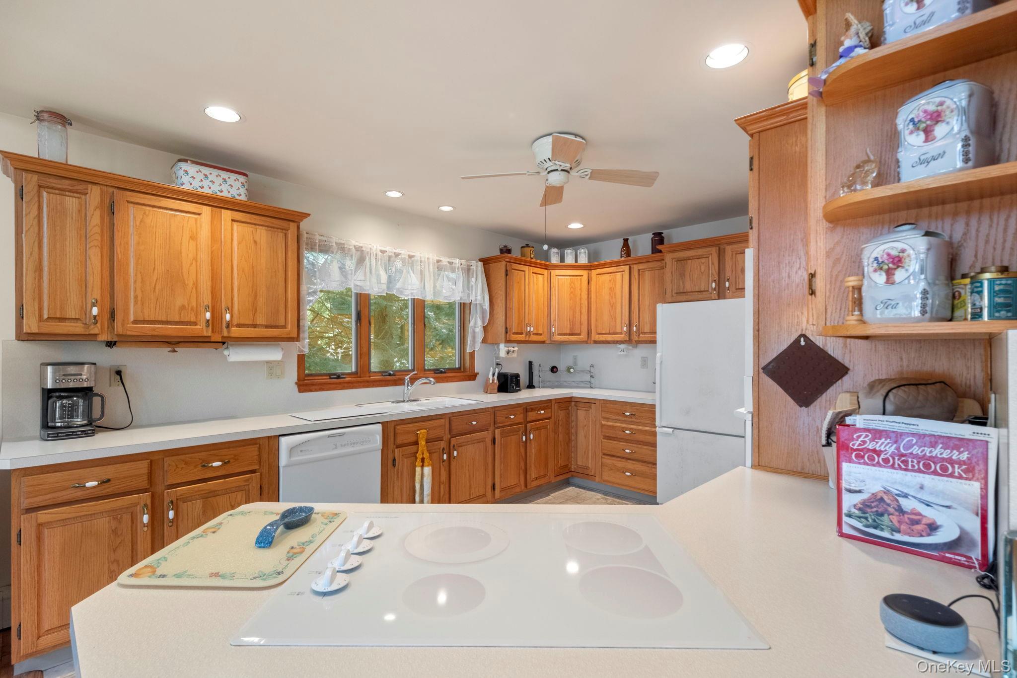 Single Family S Shore Drive  Sullivan County, NY 12775, MLS-999825-13