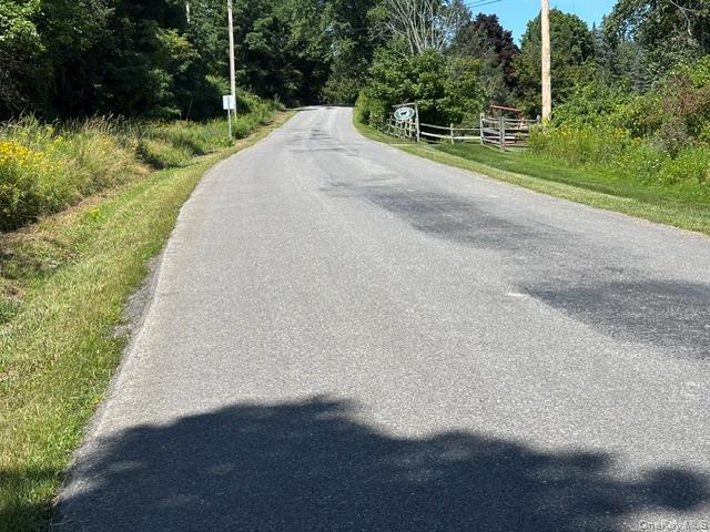 Single Family Sigler Road  Columbia County, NY 12567, MLS-999870-25
