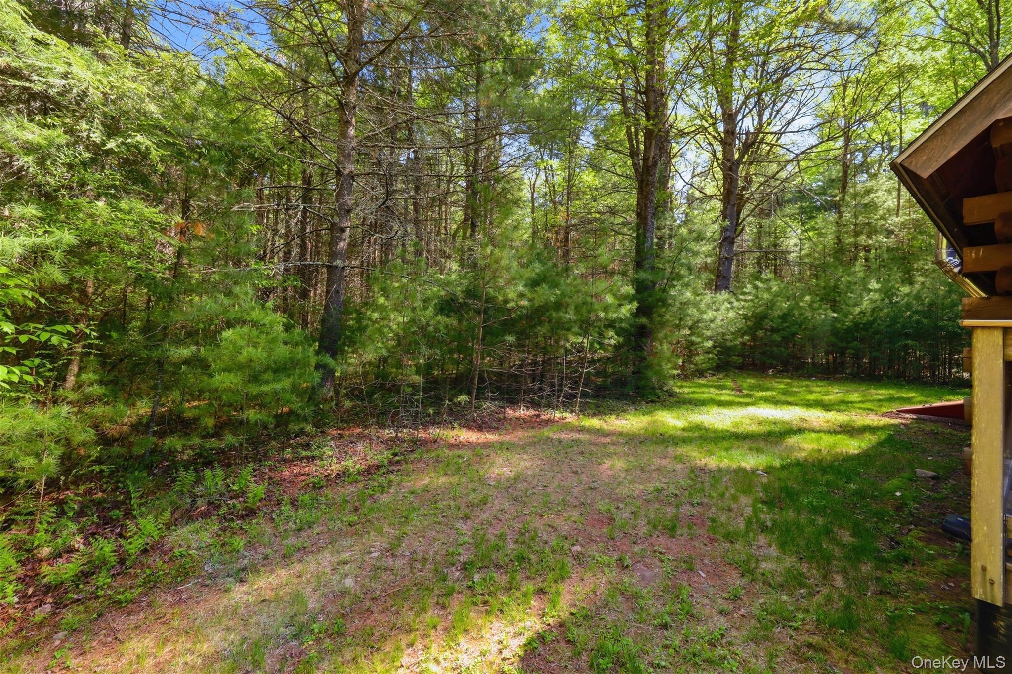 Single Family Pucky Huddle Road  Sullivan County, NY 12720, MLS-999871-35