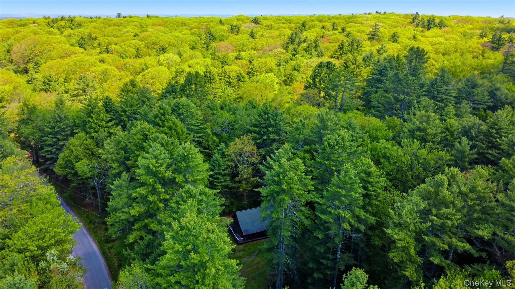 Single Family Pucky Huddle Road  Sullivan County, NY 12720, MLS-999871-38
