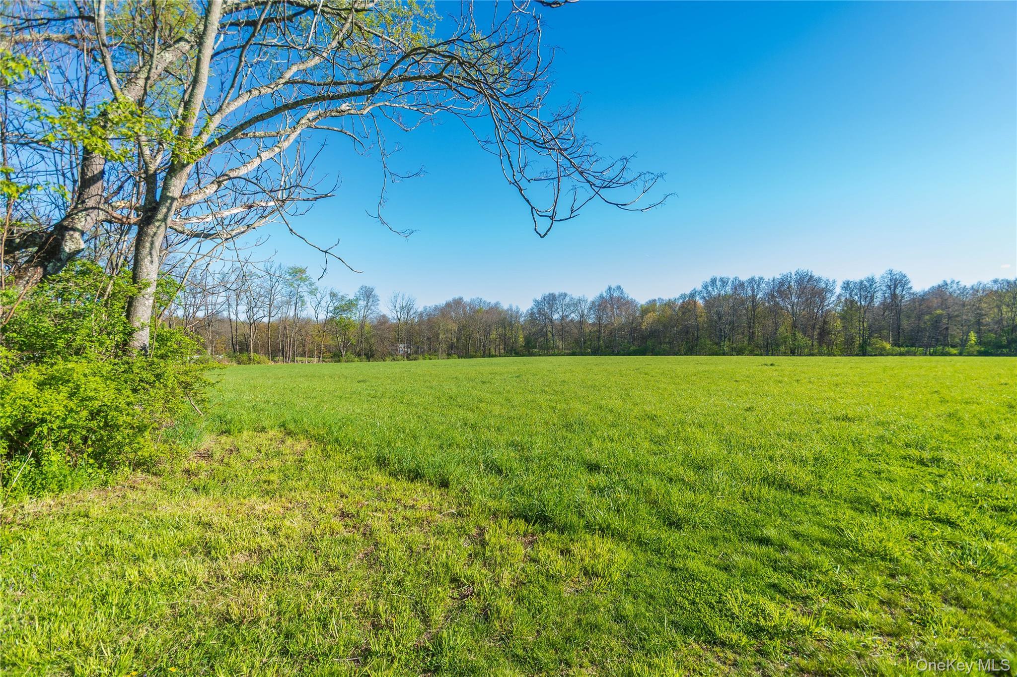 Single Family Browns Road Orange County, NY 12586, MLS-999911-24