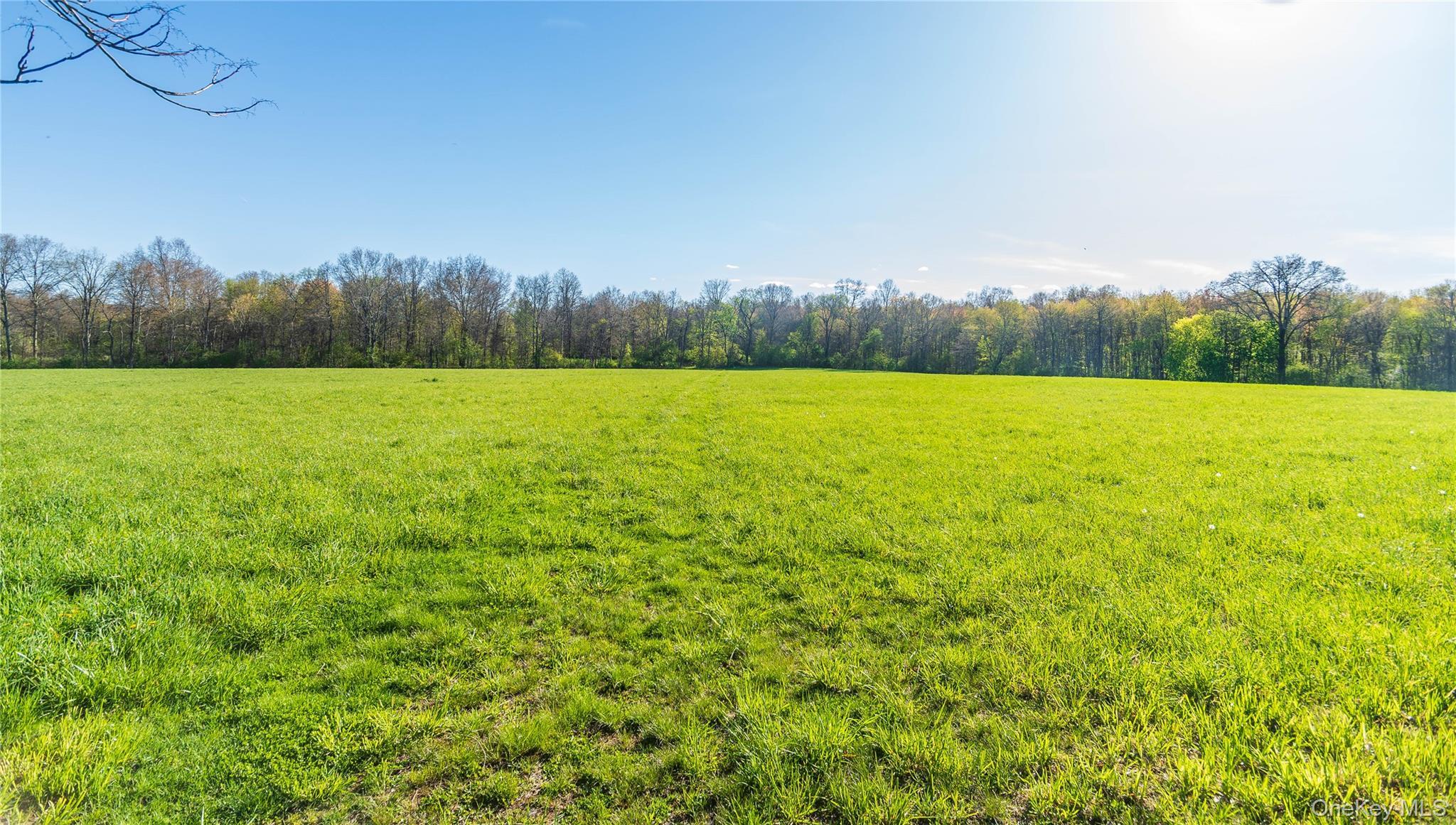 Single Family Browns Road  Orange County, NY 12586, MLS-999911-25