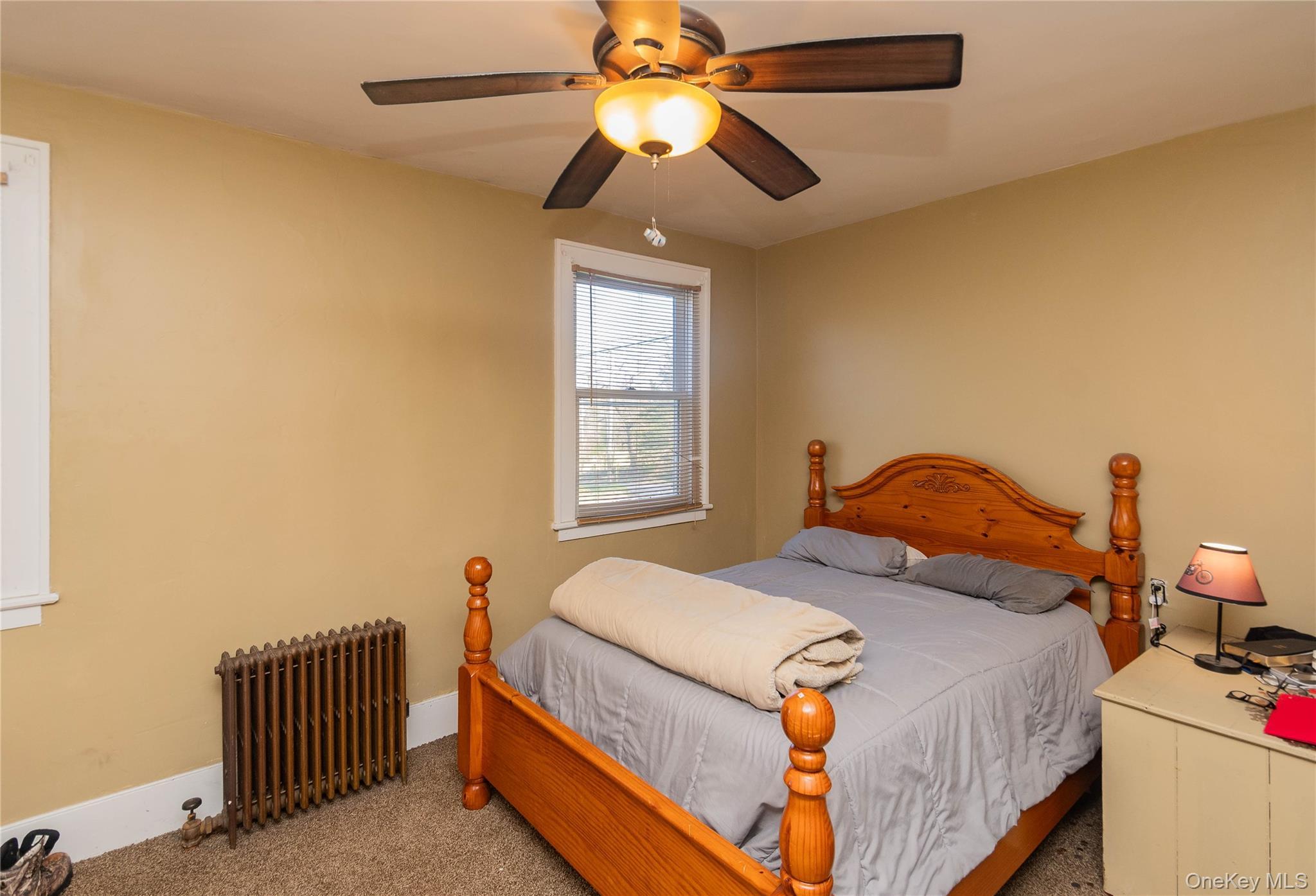 Single Family Browns Road Orange County, NY 12586, MLS-999911-9