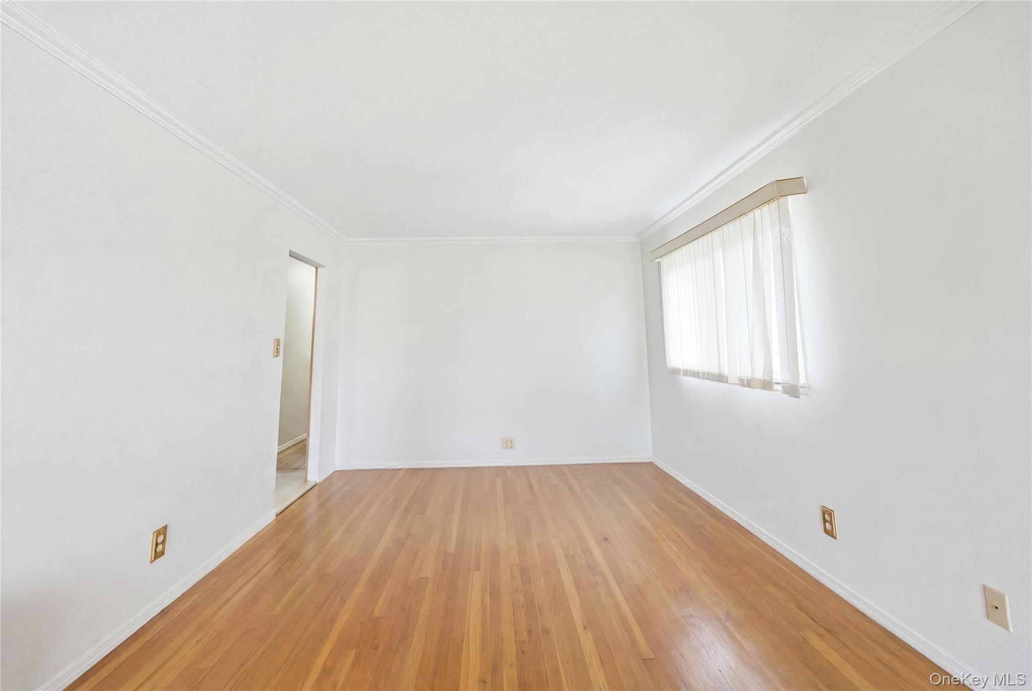 Single Family 88th  Queens, NY 11414, MLS-999979-8