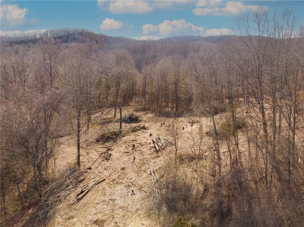 Single Family Marble  Dutchess County, NY 12564, MLS-H6254324-10