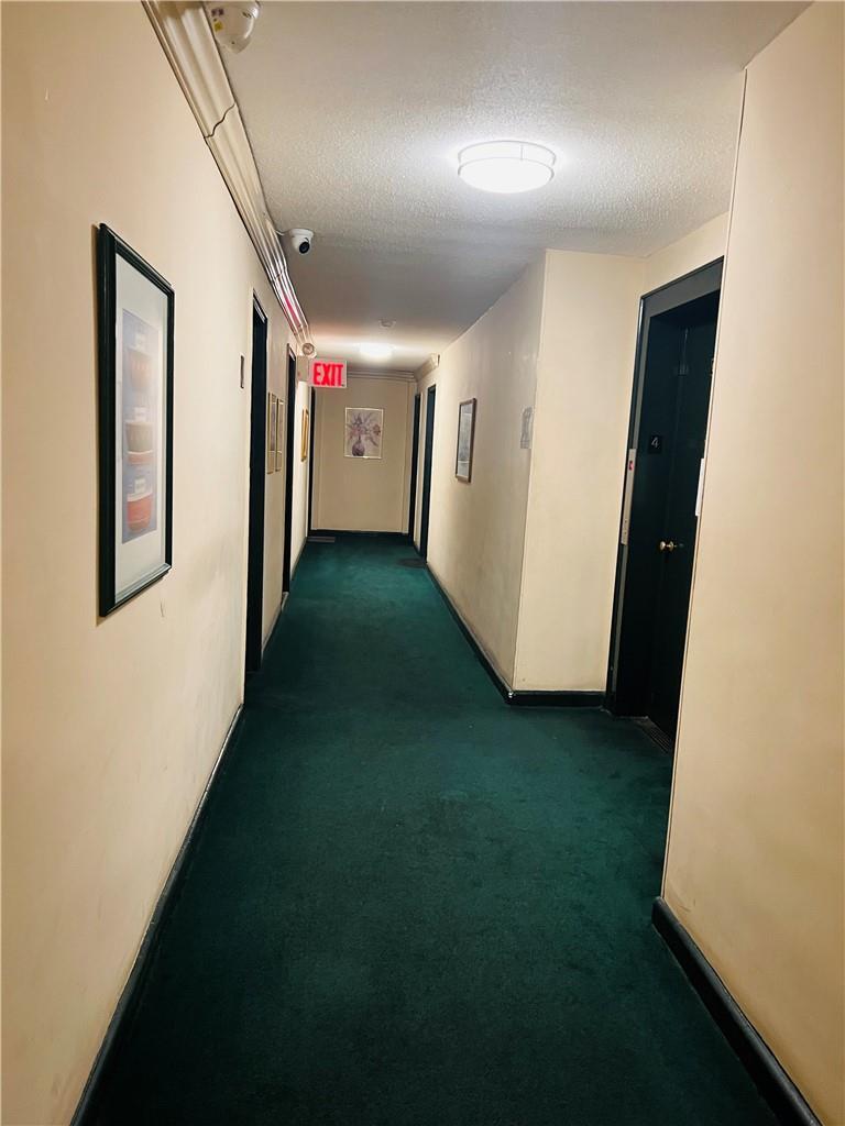 Coop Wallace  Bronx, NY 10462, MLS-H6265343-9