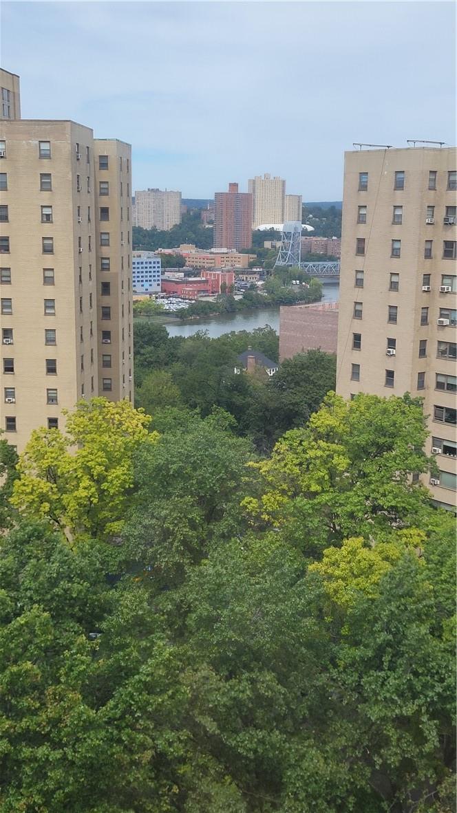Coop Fordham Hill  Bronx, NY 10468, MLS-H6267824-13