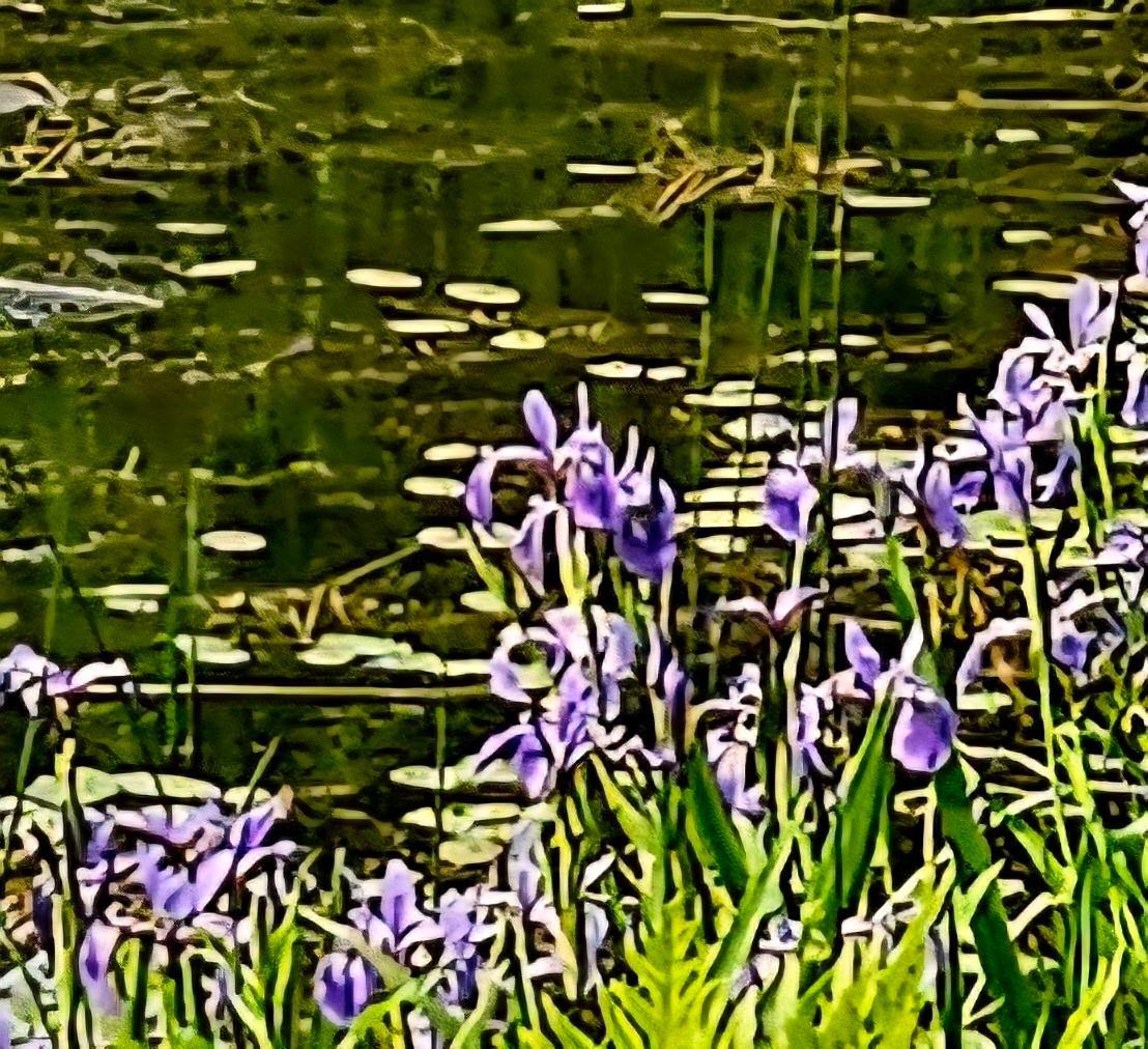 Single Family Bonnie Brook  Delaware County, NY 12776, MLS-H6272618-43