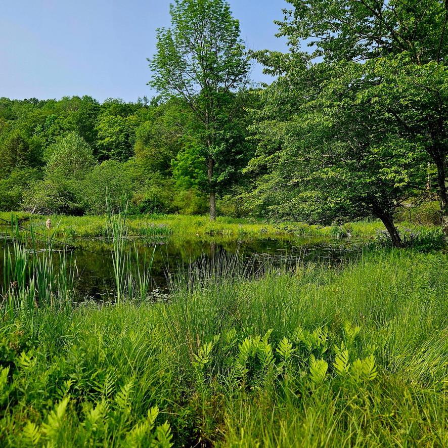 Single Family Bonnie Brook  Delaware County, NY 12776, MLS-H6272618-44