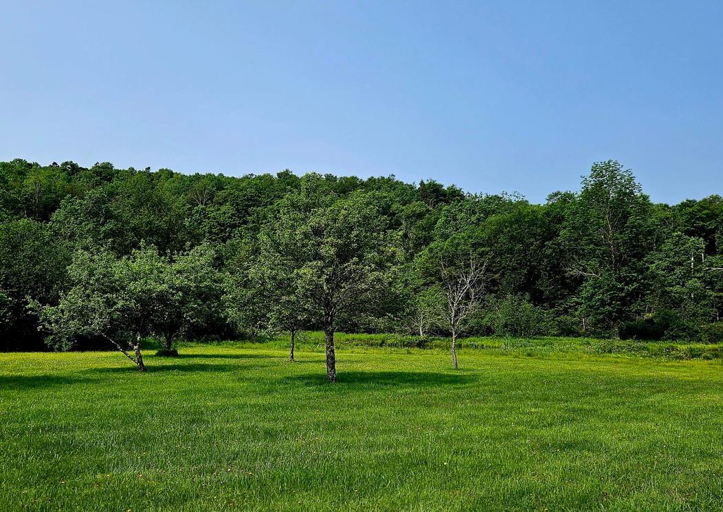 Single Family Bonnie Brook  Delaware County, NY 12776, MLS-H6272618-45