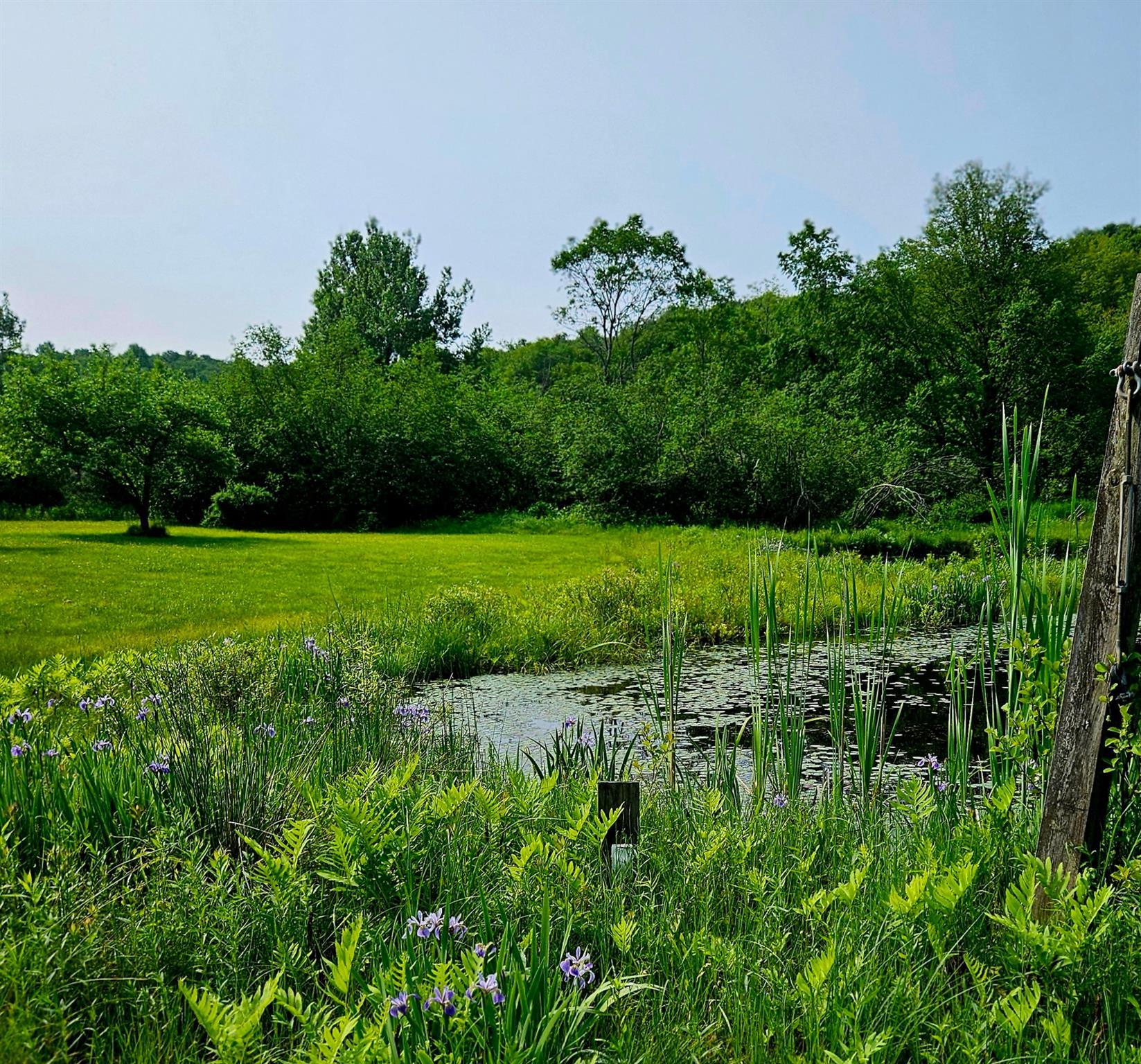 Single Family Bonnie Brook  Delaware County, NY 12776, MLS-H6272618-5