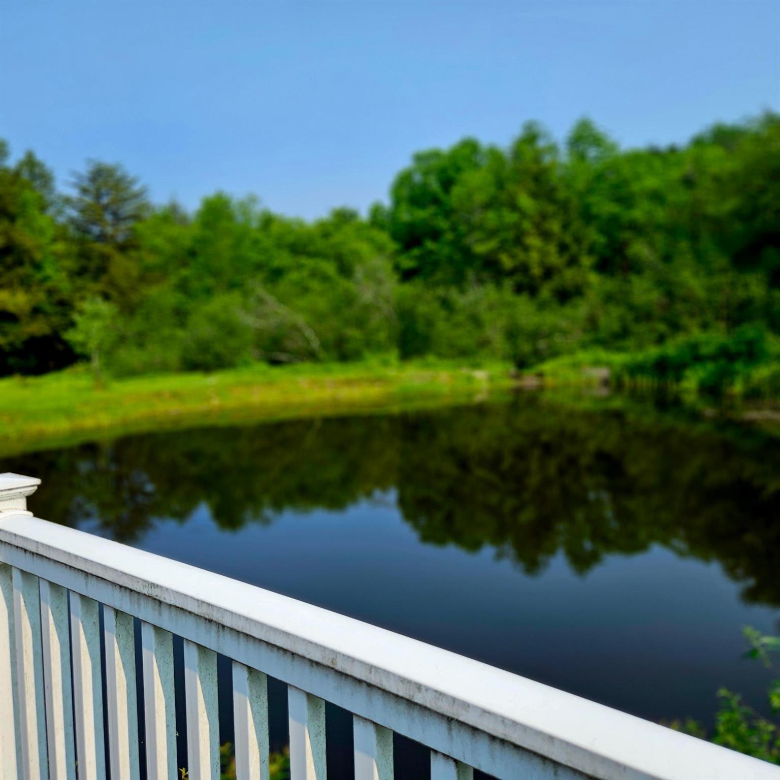 Single Family Bonnie Brook  Delaware County, NY 12776, MLS-H6272618-6