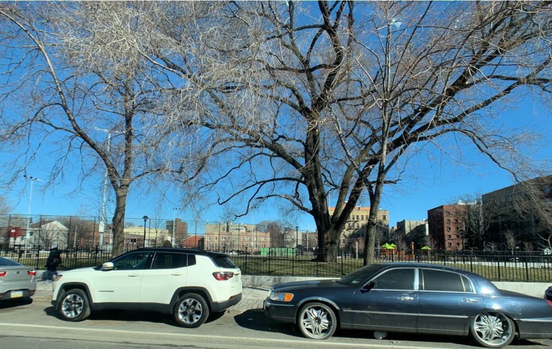 Coop Oakland  Bronx, NY 10457, MLS-H6289731-7
