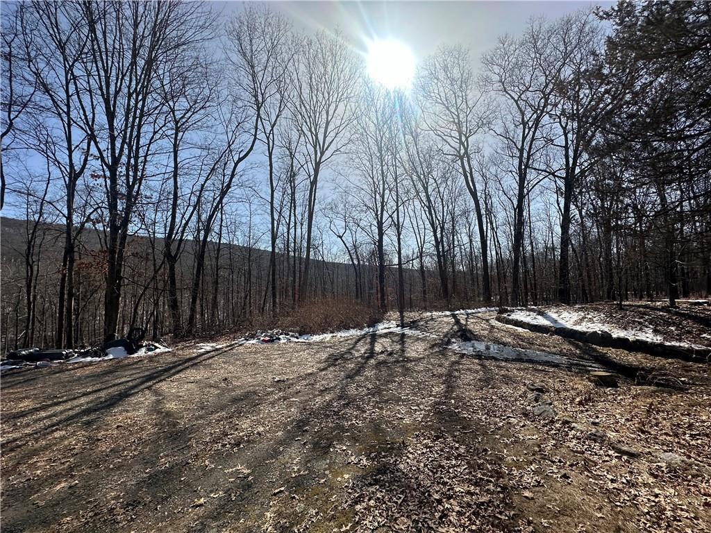Single Family Greenville  Orange County, NY 12771, MLS-H6293486-13